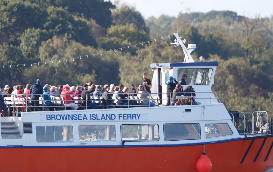birds of poole harbour boat trips